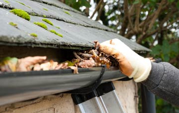 gutter cleaning Lower Whatcombe, Dorset