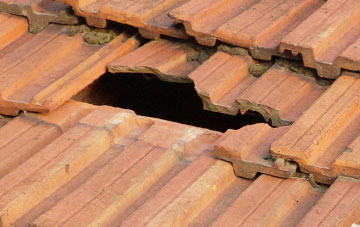 roof repair Lower Whatcombe, Dorset