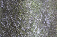 Lower Whatcombe fibreglass roof work