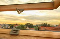 rated Lower Whatcombe roof window companies